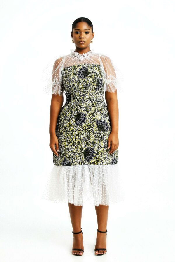 Simi Print and Tule Dress