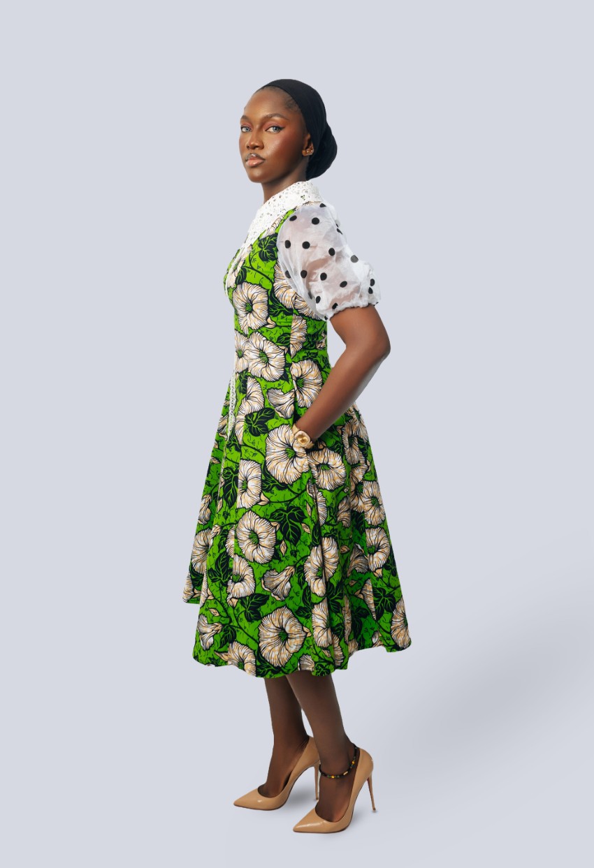 Peacock Dress - Image 3